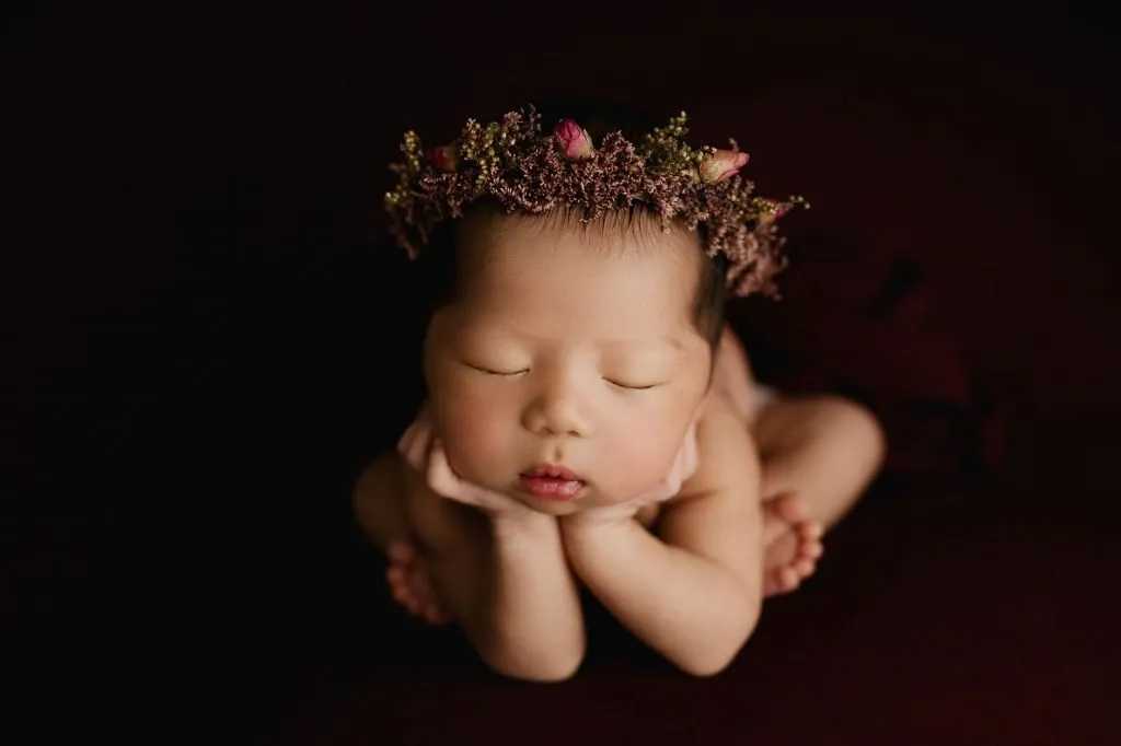 Scarlett 107 web