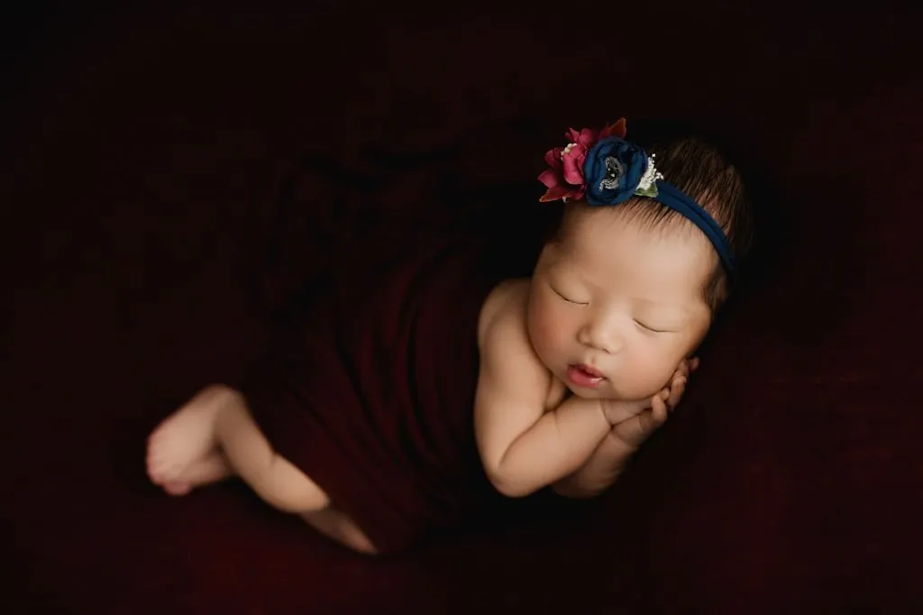 Scarlett 108 web