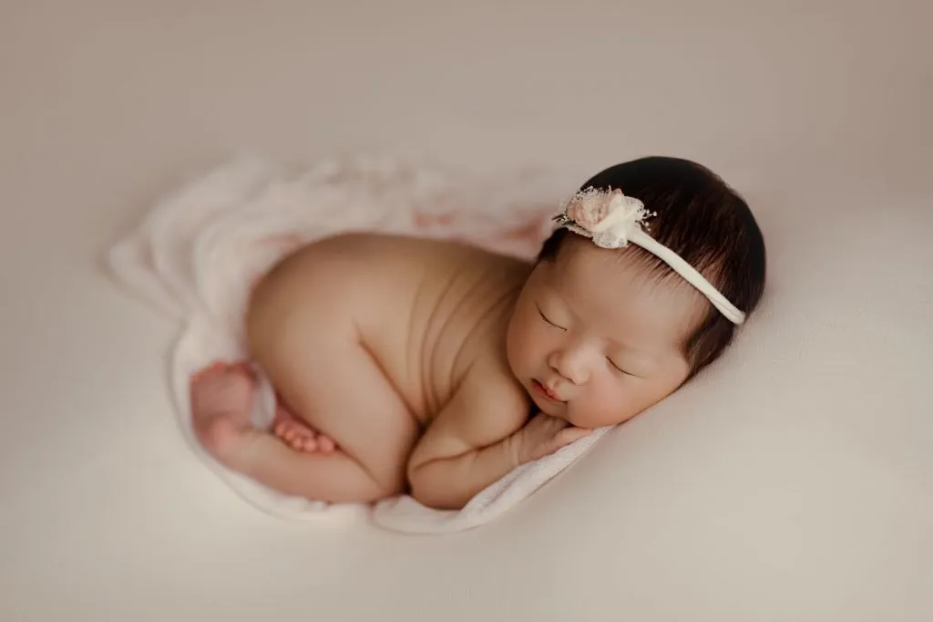 Scarlett 109 web