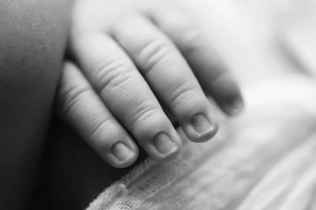 Xanthia 116bwweb