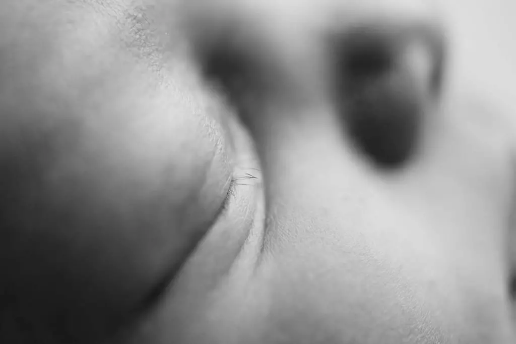 Xanthia 117bwweb