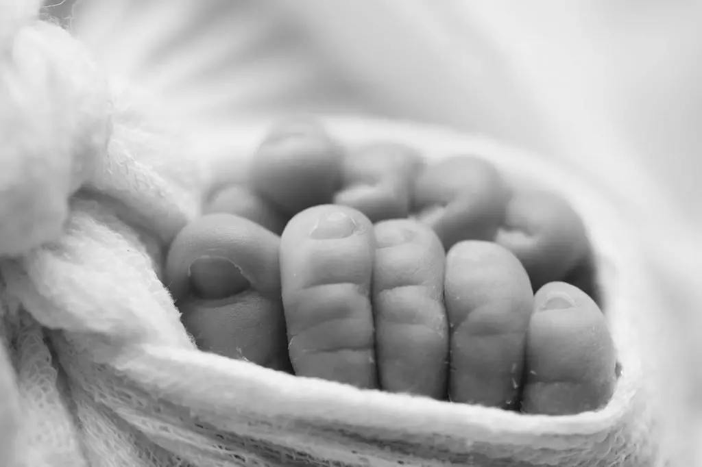 newborn photography sydney